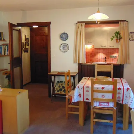 아파트 2 Pieces Avec Parking A Chamonix, Animaux Acceptes - Fr-1-517-19 *
