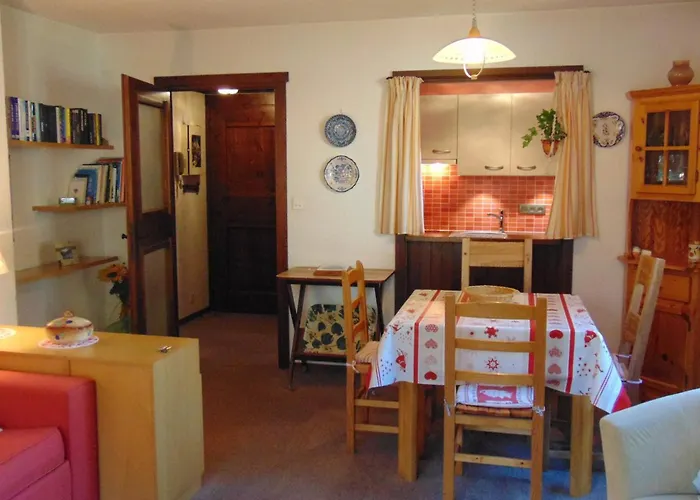 Lejlighed 2 Pieces Vue Mont Blanc Avec Balcon - Chamonix, Animaux Acceptes - Fr-1-517-19 *